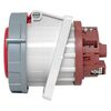Розетка стационарная внутренняя угловая 4252 3Р+РЕ+N 32А 380В IP67 PROxima EKF ps-4252-32-380, изображение 5 • Купить по низкой цене в интернет-магазине СМЭК