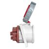 Розетка стационарная внутренняя угловая 4252 3Р+РЕ+N 32А 380В IP67 PROxima EKF ps-4252-32-380, изображение 4 • Купить по низкой цене в интернет-магазине СМЭК