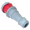 Розетка переносная 2442 3Р+РЕ 125А 380В IP67 PROxima EKF ps-2442-125-380, изображение 7 • Купить по низкой цене в интернет-магазине СМЭК