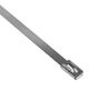Хомут AISI 304  4.6х200 нерж. сталь FlexLock (уп.10шт) PROxima EKF plc-fl-tss-304-4.6x200-r, изображение 4 • Купить по низкой цене в интернет-магазине СМЭК