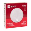Светильник светодиодный ЖКХ круг ДПО-2200 12Вт 6500К IP65 с инфракрасным датчиком движения PROxima EKF BKL-2200DI-R-12-6500, изображение 6 • Купить по низкой цене в интернет-магазине СМЭК