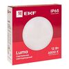 Светильник светодиодный ЖКХ круг ДПО-2009 12Вт 6500К IP65 PROxima EKF BKL-2009-R-12-6500, изображение 6 • Купить по низкой цене в интернет-магазине СМЭК