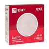 Светильник светодиодный ЖКХ круг ДПО-2010 15Вт 6500К IP65 PROxima EKF BKL-2010-R-15-6500, изображение 6 • Купить по низкой цене в интернет-магазине СМЭК