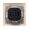 Светорегулятор Валенсия 600Вт 220В крем. PROxima EKF EWD06-101-20, изображение 4 • Купить по низкой цене в интернет-магазине СМЭК