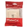 Розетка USB 2-м СП Минск 2.1А беж. EKF ERR-2USB-200, изображение 4 • Купить по низкой цене в интернет-магазине СМЭК