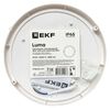 Светильник светодиодный ЖКХ ДПО-1006 24Вт 4000К IP65 круг EKF BKL-1006-R-24-4000 • Купить по низкой цене в интернет-магазине СМЭК