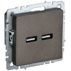 Розетка BRITE USB A+A 3.1А РЮ10-1-БрТБ бр. IEK BR-U21-D31-K45 • Купить по низкой цене в интернет-магазине СМЭК