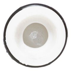 Гильза изолированная фазная MJPT 70 PROxima EKF mjpt70 • Купить по низкой цене в интернет-магазине СМЭК