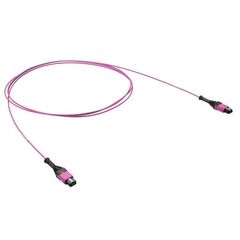 Патчкорд 12ОВ 50/125 OM4 1xMTP PRO (12)/1xMTP PRO(12) 1м DKC RNPCFF124B01 • Купить по низкой цене в интернет-магазине СМЭК