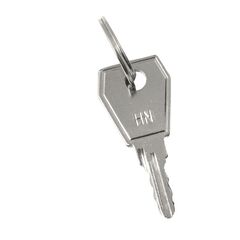 Ключ для пластикового замка к ЩРН (арт. lock-shrn-ip31) PROxima EKF key-4 • Купить по низкой цене в интернет-магазине СМЭК