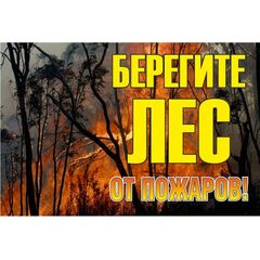Знак "Берегите лес от огня!" 1200х800мм EKF zn-1-02 • Купить по низкой цене в интернет-магазине СМЭК