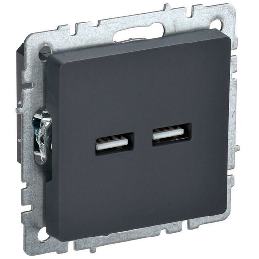 Розетка BRITE USB A+A 3.1А РЮ10-1-БрГ графит IEK BR-U21-D31-K53 • Купить по низкой цене в интернет-магазине СМЭК