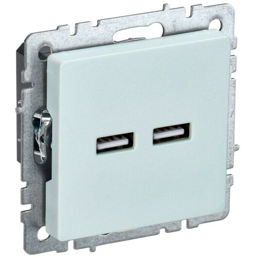 Розетка BRITE USB A+A 3.1А РЮ10-1-БрЖ жемчуж. IEK BR-U21-D31-K36 • Купить по низкой цене в интернет-магазине СМЭК