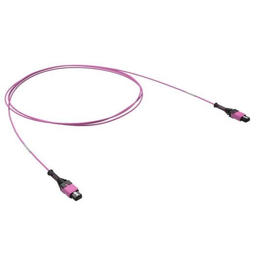 Патчкорд 12ОВ 50/125 OM4 1xMTP PRO (12)/1xMTP PRO(12) 1м DKC RNPCFF124B01 • Купить по низкой цене в интернет-магазине СМЭК