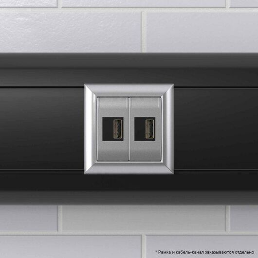 Устройство зарядное USB модульное 2мод. Avanti "Закаленная сталь" DKC 4404542, изображение 5 • Купить по низкой цене в интернет-магазине СМЭК