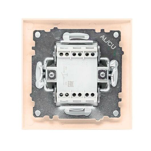 Кнопка звонка 1-кл. СП Валенсия 10А IP20 крем. PROxima EKF EWV10-026-20, изображение 3 • Купить по низкой цене в интернет-магазине СМЭК